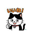 今日もハチワレ（個別スタンプ：3）