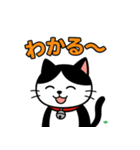 今日もハチワレ（個別スタンプ：5）