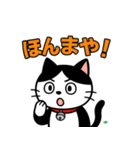 今日もハチワレ（個別スタンプ：6）