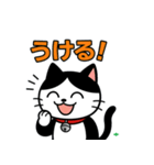 今日もハチワレ（個別スタンプ：7）
