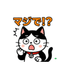 今日もハチワレ（個別スタンプ：9）