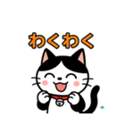 今日もハチワレ（個別スタンプ：10）