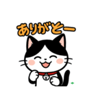 今日もハチワレ（個別スタンプ：11）