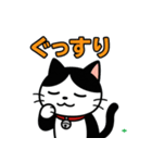 今日もハチワレ（個別スタンプ：14）
