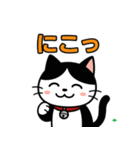 今日もハチワレ（個別スタンプ：15）