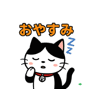 今日もハチワレ（個別スタンプ：16）