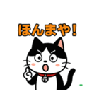 今日もハチワレ（個別スタンプ：17）