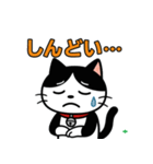 今日もハチワレ（個別スタンプ：18）
