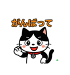 今日もハチワレ（個別スタンプ：19）