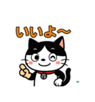 今日もハチワレ（個別スタンプ：20）