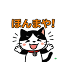 今日もハチワレ（個別スタンプ：21）