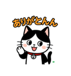 今日もハチワレ（個別スタンプ：22）