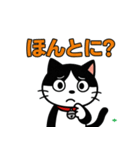 今日もハチワレ（個別スタンプ：23）