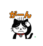 今日もハチワレ（個別スタンプ：24）