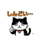 今日もハチワレ（個別スタンプ：26）