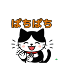 今日もハチワレ（個別スタンプ：27）