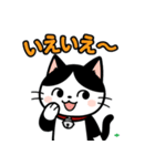 今日もハチワレ（個別スタンプ：33）