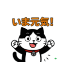 今日もハチワレ（個別スタンプ：34）