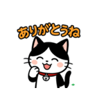今日もハチワレ（個別スタンプ：35）