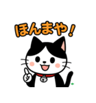 今日もハチワレ（個別スタンプ：38）