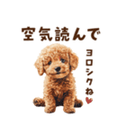 毒舌トイプードルの日常会話（個別スタンプ：1）