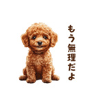 毒舌トイプードルの日常会話（個別スタンプ：12）