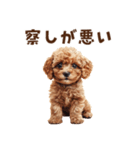毒舌トイプードルの日常会話（個別スタンプ：16）