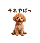 毒舌トイプードルの日常会話（個別スタンプ：19）