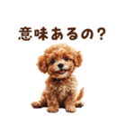 毒舌トイプードルの日常会話（個別スタンプ：21）