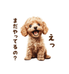 毒舌トイプードルの日常会話（個別スタンプ：22）