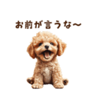 毒舌トイプードルの日常会話（個別スタンプ：27）
