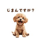 毒舌トイプードルの日常会話（個別スタンプ：29）