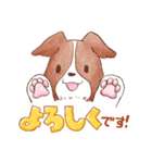 いつでもボーダーコリー2（個別スタンプ：2）