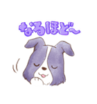いつでもボーダーコリー2（個別スタンプ：3）