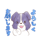 いつでもボーダーコリー2（個別スタンプ：5）