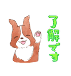 いつでもボーダーコリー2（個別スタンプ：6）