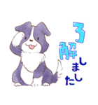 いつでもボーダーコリー2（個別スタンプ：7）