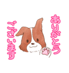 いつでもボーダーコリー2（個別スタンプ：11）