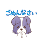 いつでもボーダーコリー2（個別スタンプ：22）