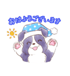 いつでもボーダーコリー2（個別スタンプ：27）