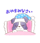 いつでもボーダーコリー2（個別スタンプ：30）