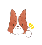 いつでもボーダーコリー2（個別スタンプ：32）