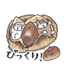 もちゃこともちゃゆ 5（個別スタンプ：26）
