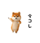 踊る！豆柴（今コレ界隈）（個別スタンプ：1）