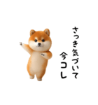 踊る！豆柴（今コレ界隈）（個別スタンプ：3）