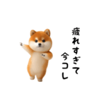 踊る！豆柴（今コレ界隈）（個別スタンプ：5）