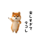 踊る！豆柴（今コレ界隈）（個別スタンプ：13）