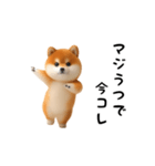 踊る！豆柴（今コレ界隈）（個別スタンプ：21）