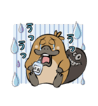 ウザすぎ❤毒舌カモノハシ（個別スタンプ：17）