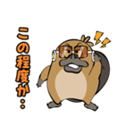 ウザすぎ❤毒舌カモノハシ（個別スタンプ：33）